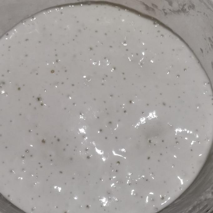 

ragi alami / sourdough starter murah @30gr TERLARIS TERPERCAYA ORIGINAL