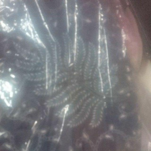 Kemeja Batik Slimfit Traditional Butik Top Brand // Size Standar & Jumbo