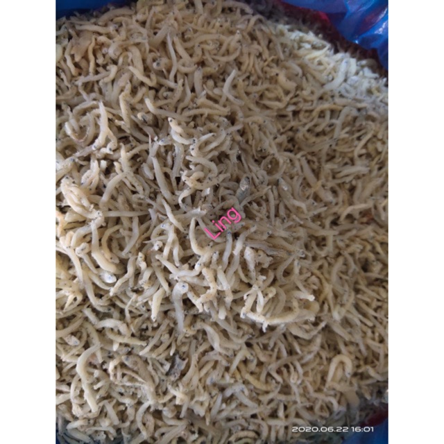 

Ikan teri medan 100 gram