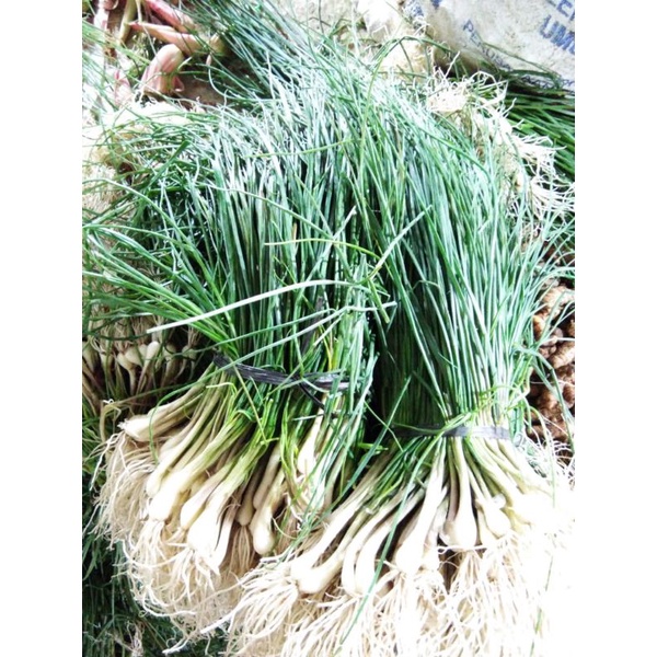 

Bawang Batak || 250 gram ~ 500 gram