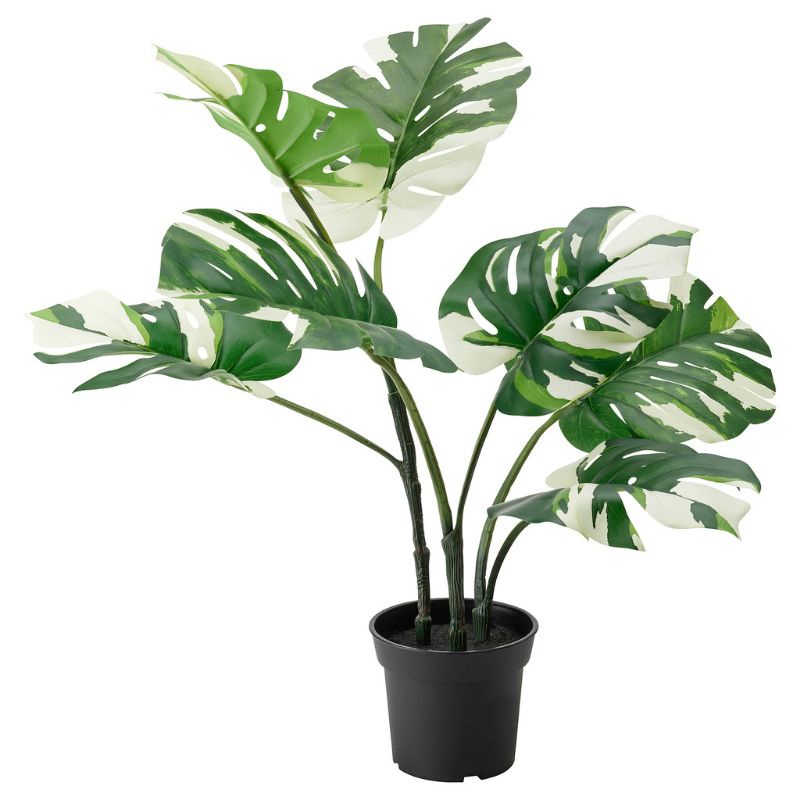 Jual Monstera artificial Fejka Ikea monstera variegata SALE Shopee
