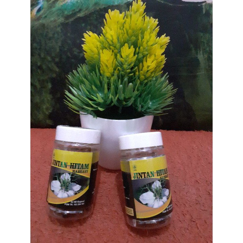 habbatussauda jinten hitam kapsul isi 60