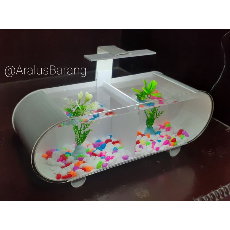 Jual Aquarium Mini Plus Skat / Aquarium / Aquarium Mini / Aquarium ...