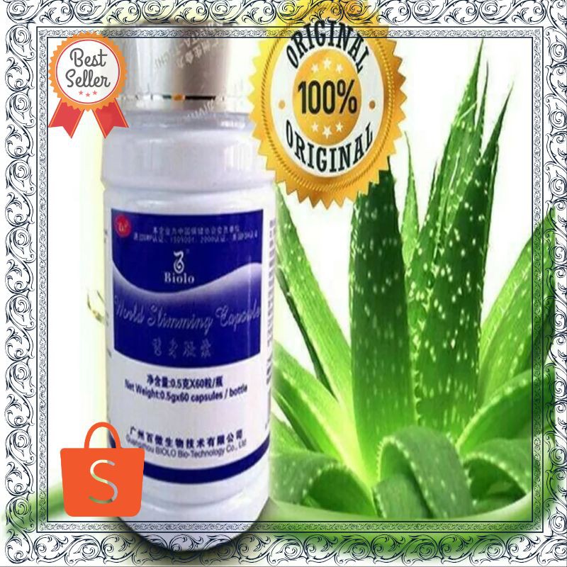 Termurah WSC biolo world ori asli lagi Kekinian