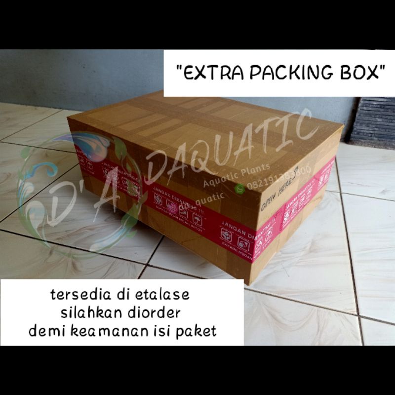 

PACKING TRIPLEK TAMBAHAN