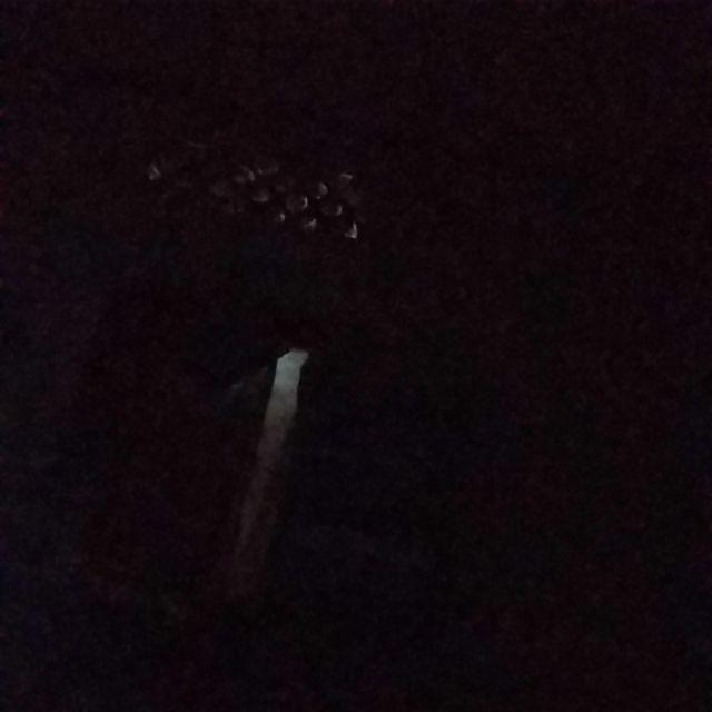 [bisa Cod] Promo Murah Rak Gantung Sepatu Motif Bunga Full Resleting Kualitas Terbaik Dan Termurah