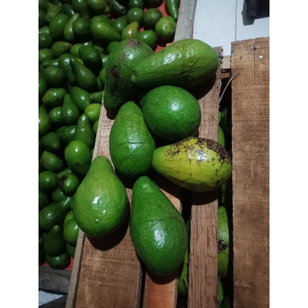 

Alpokat Ukuran Mini 1kg isi 6-7Buah