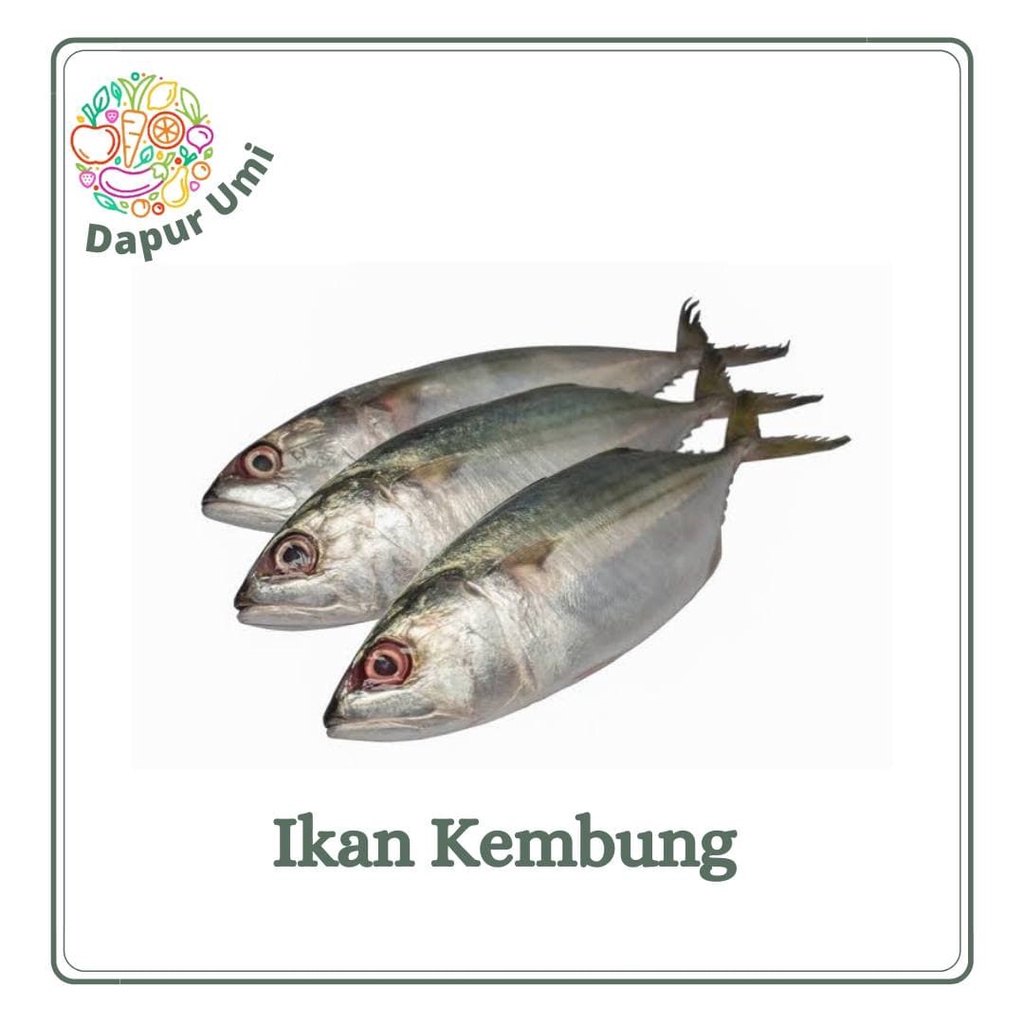 IKAN KEMBUNG - IKAN IKANAN SEGAR PURWAKARTA