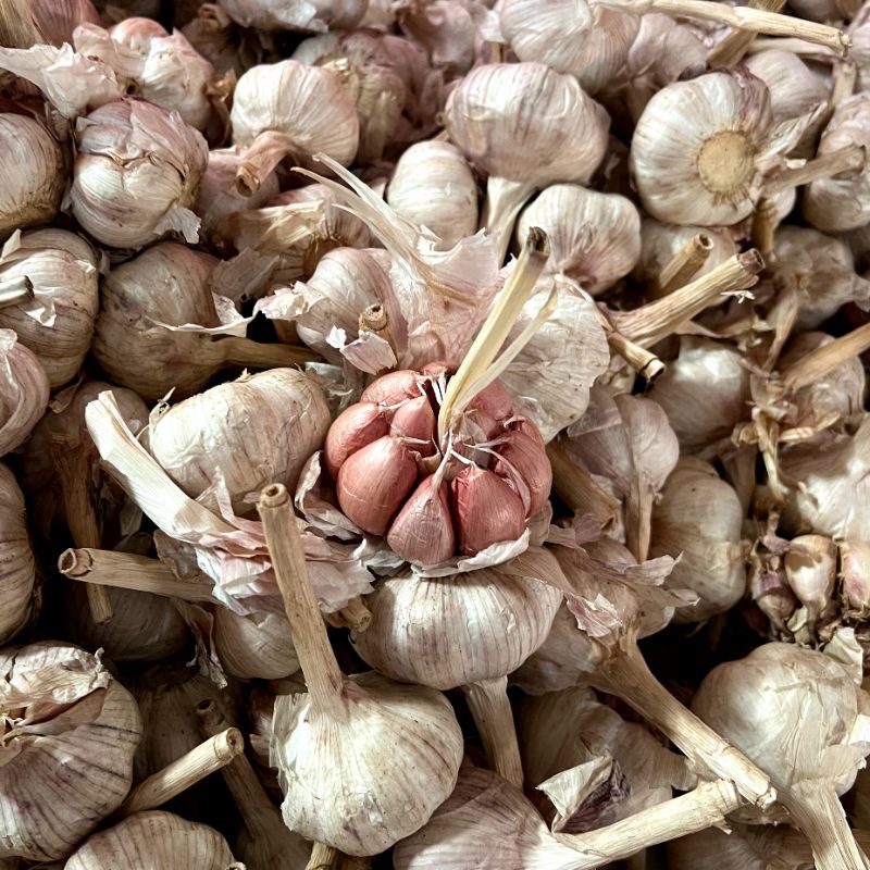 

Bawang Putih Sinco 500g Setengah Kilo