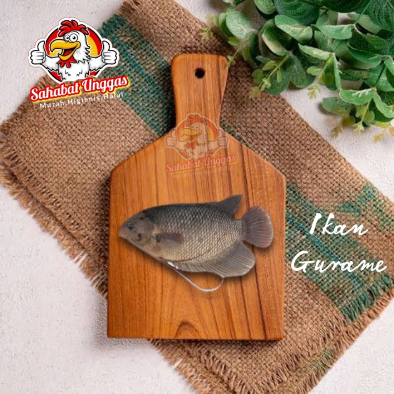 

Ikan Gurame 500gr