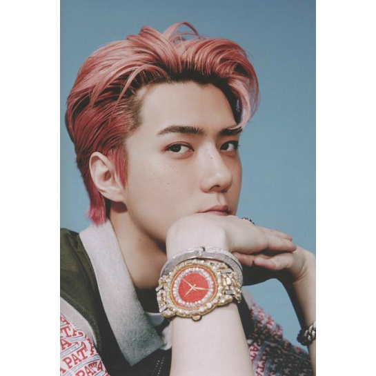 [READY STOCK] OFFICIAL Poster Sehun 1 BV