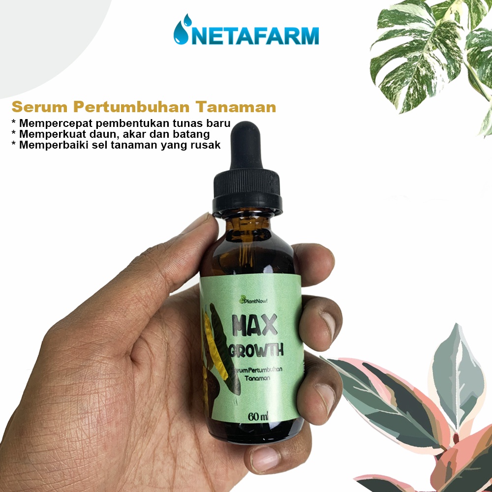 Serum Max Growth untuk Mempercepat Pertumbuhan Tanaman 60ml - 1pcs