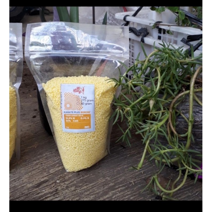 Pupuk NPK Kuning Kalsium Anti Rontok 1 kg, Perangsang Tunas Baru Tanaman