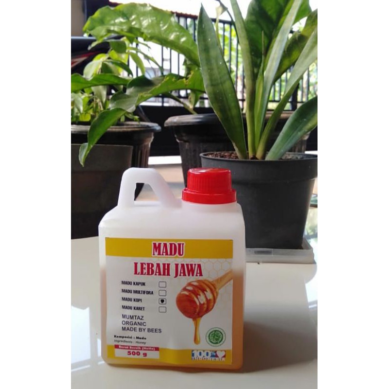 

Madu Kelengkeng 500 gram