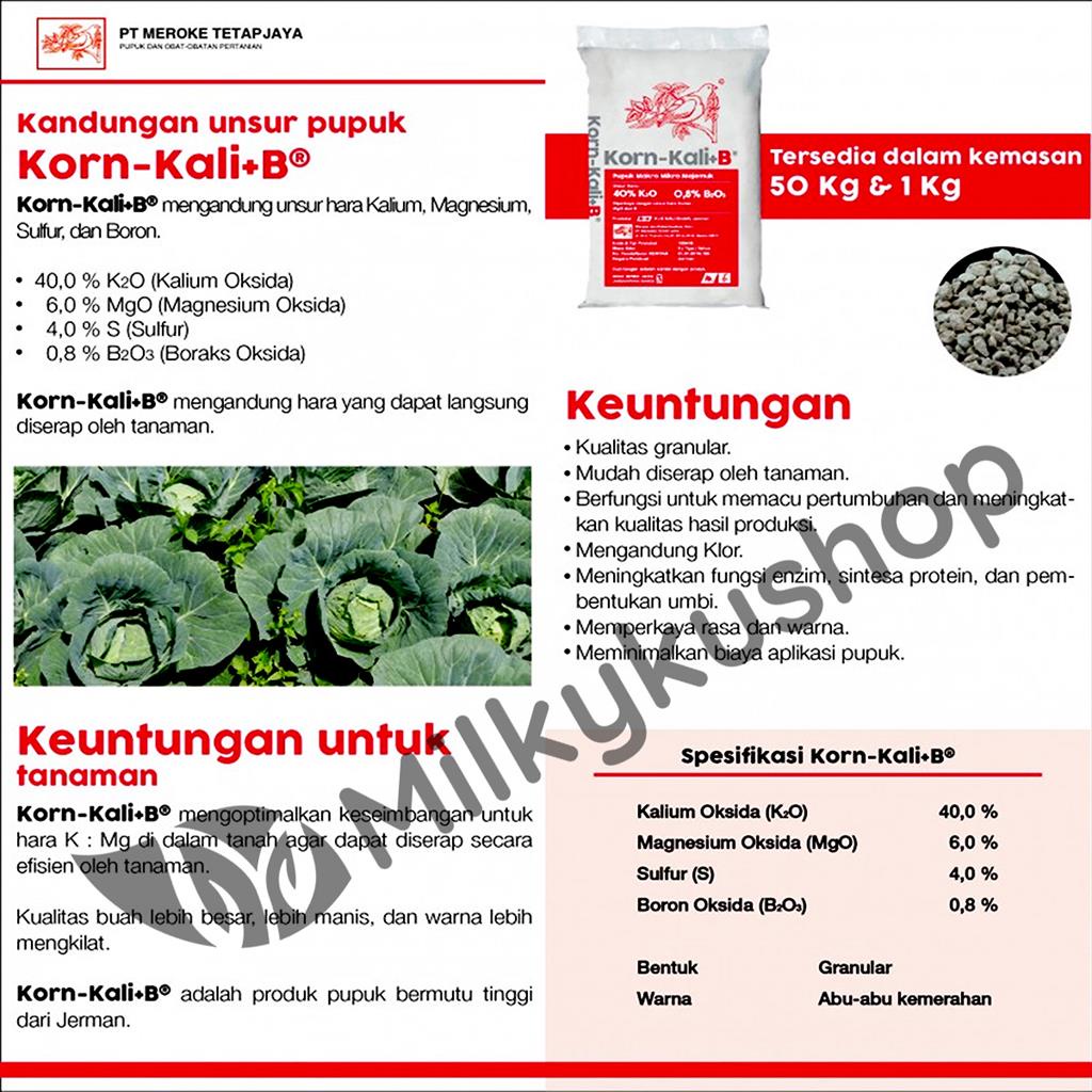 PUPUK MEROKE KORN KALI B 1 KG  KEMASAN REPACK