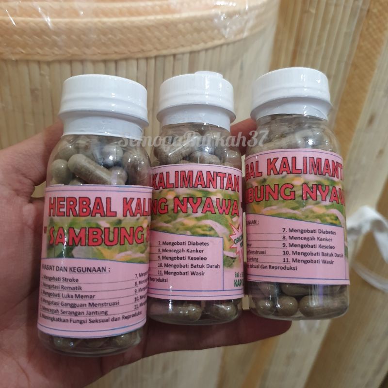 

Herbal Asli Kalimantan Kapsul Sambung Nyawa Sangat Banyak Khasiat