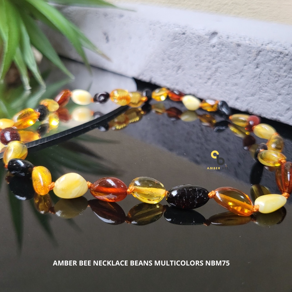 Kalung Amber Anak Premium Glossy Multicolor Beans NGMB54 By Amber Bee