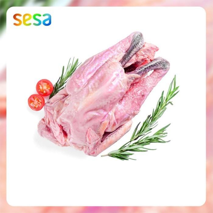 

Ayam Kampung Natural Beku 0.5 - 0.6 Kg Best Seller