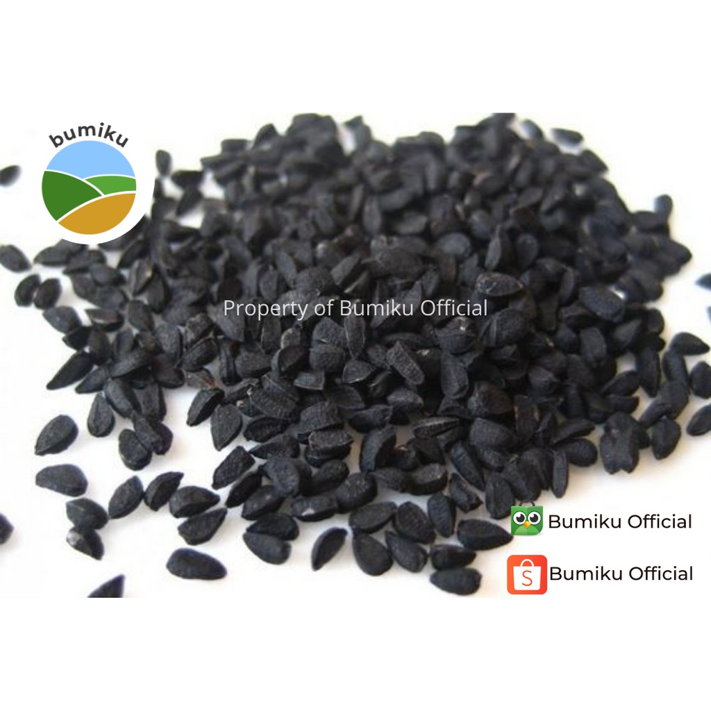 

Termurah Jintan Hitam 1kg | Habbatussauda Premium | Kualitas Impor