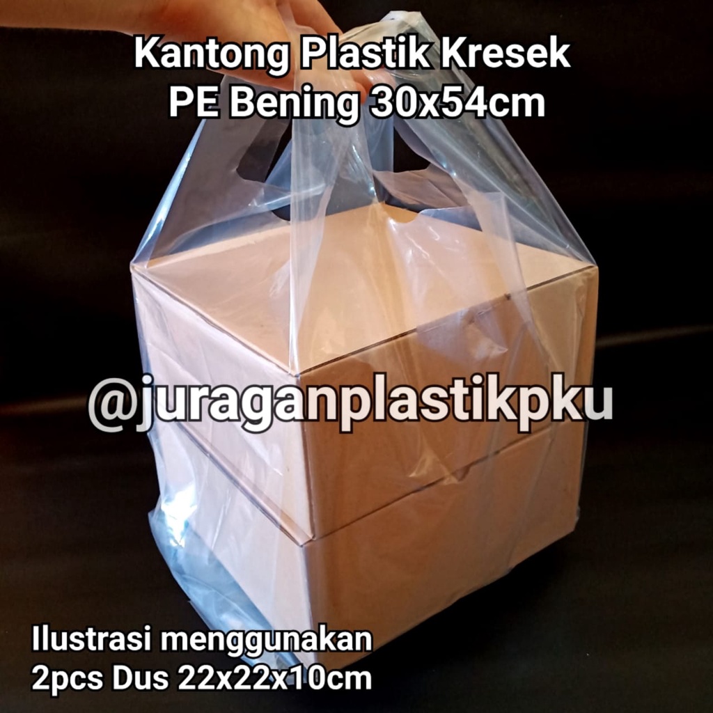( 30x54 cm ) Kantong Plastik Kresek PE Bening / Asoy Transparan Take Away Solaria 30 cm Tebal Bag Du
