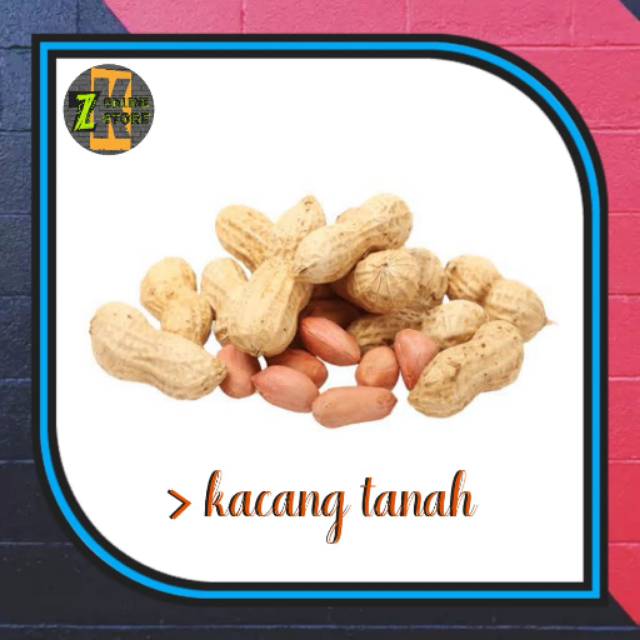 

Kacang tanah / ijo / kedelai / merah / bogor (100gr)