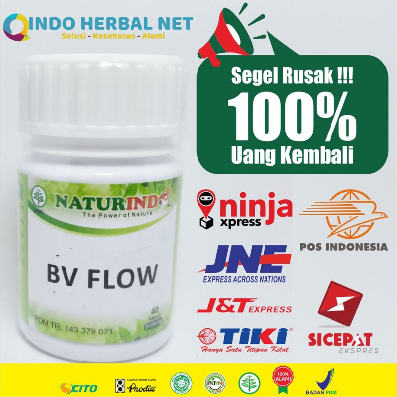 Bv Flow Obat Herbal Kesemutan Tangan Dan Kaki Sirkulasi Darah Tidak Lancar Kapsul Naturindo Bisa Cod-4