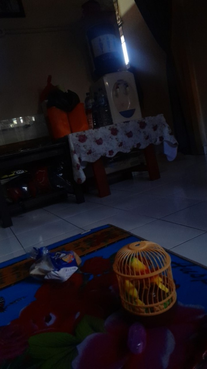 Hawaii Striko Sikat Baju