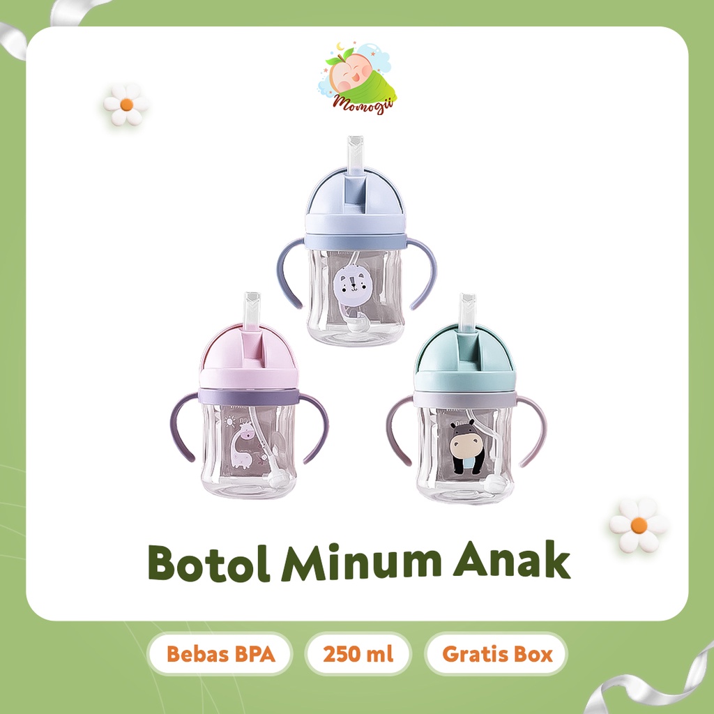 MOMOGII Botol Minum Anak Bayi Gelas Karakter 250 ML BPA FREE Training Cup Anti Tumpah