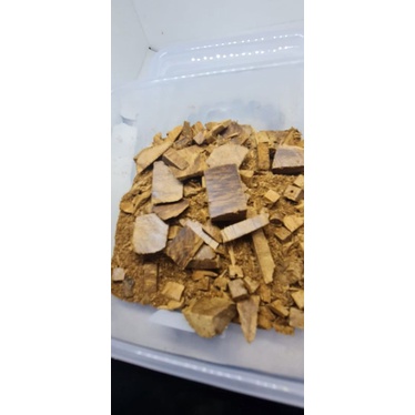 tatal kayu gaharu merauke