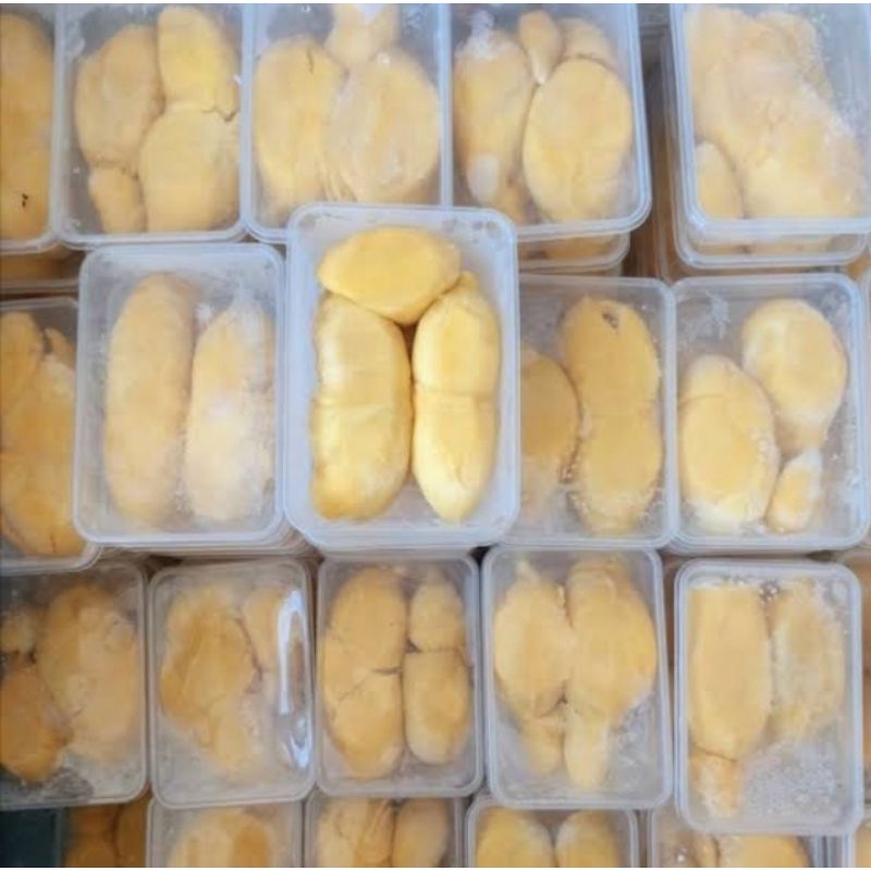Durian Montong Palu Premium / Durian Sulawesi Premium