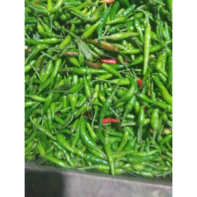 

cabe rawit ijo segar/250gr