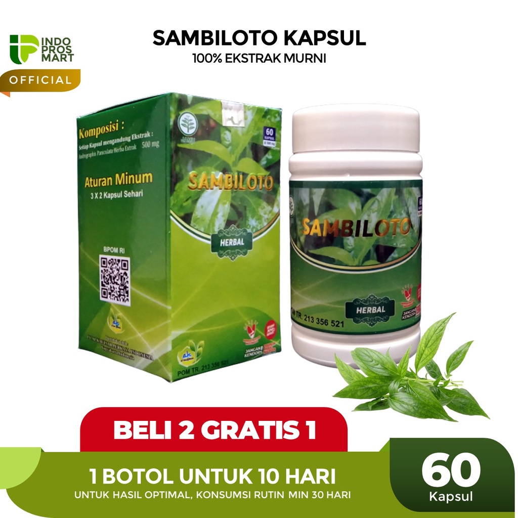 SAMBILOTO Isi 60 Kapsul Standar BPOM - Ekstrak Daun Sambiloto
