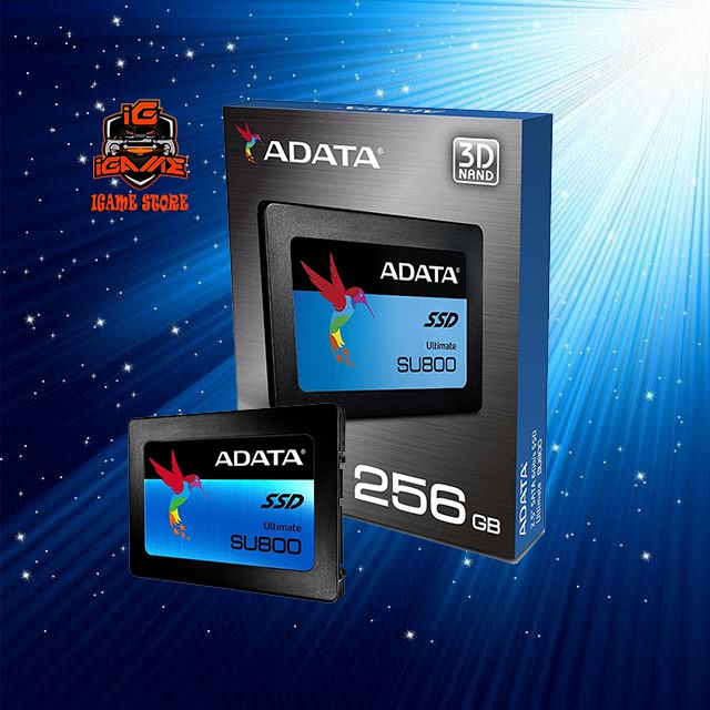 SSD ADATA SU800 256GB SATA III ( R/W Up to 560 / 520MB/s ) TERBARU MANTAFF