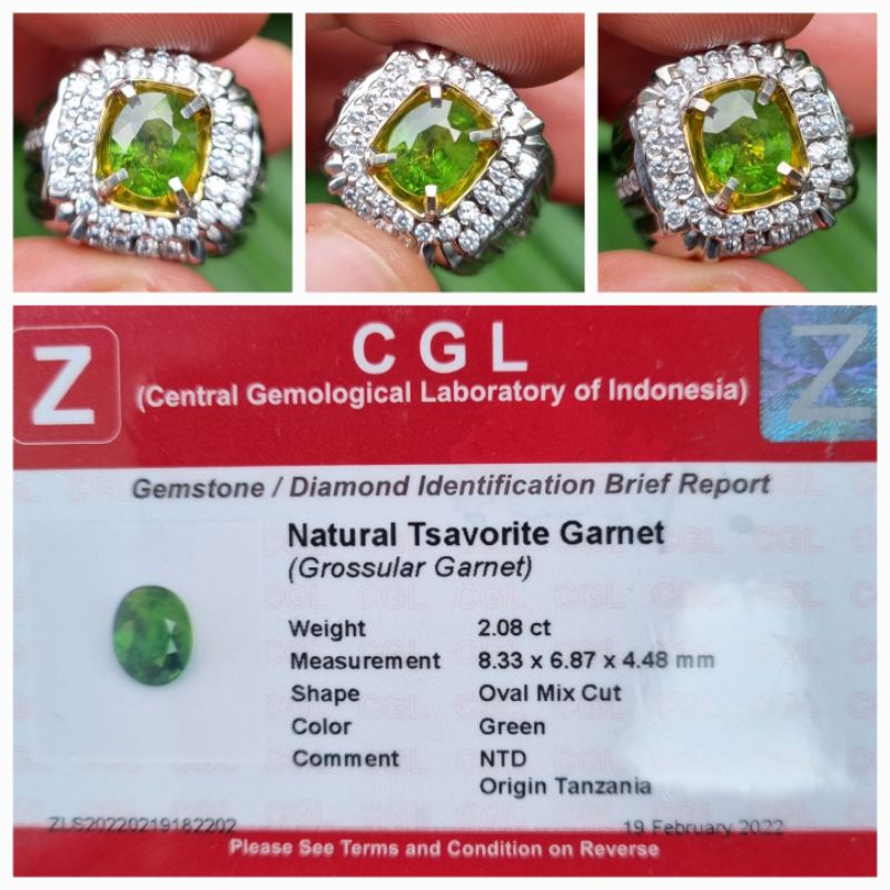Natural Tsavorite Green Garnet Memo 2.08 crt