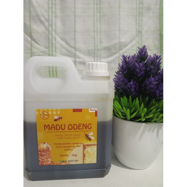 

Madu Odeng Asli Jawa Barat 1kg