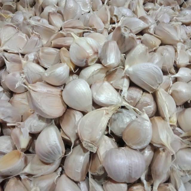 bawang putih kating 1kg