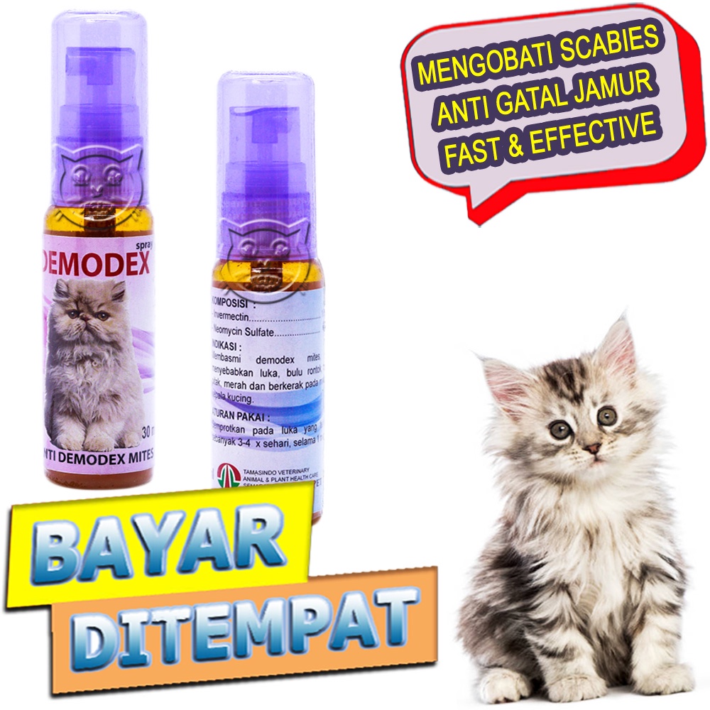 Demodex Spray Obat Koreng Jamur Buduk Scabies Kucing