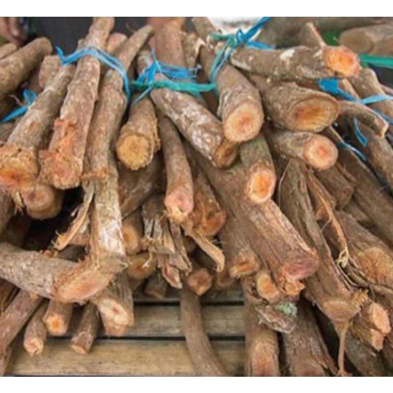 

Akar Bajakah Asli Kalimantan