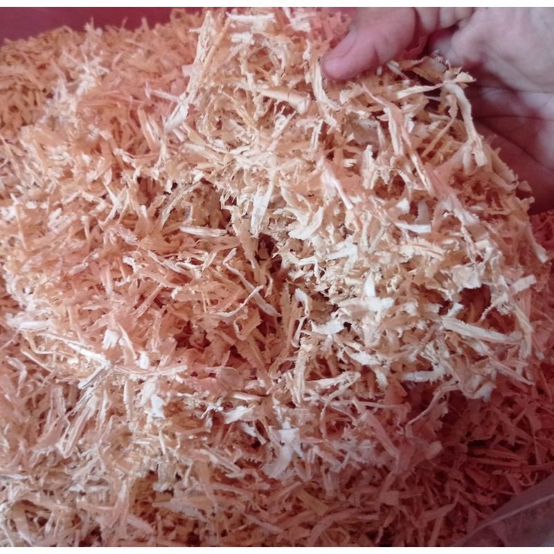 serbuk kayu hamster alas kandang hamster kucing kelinci