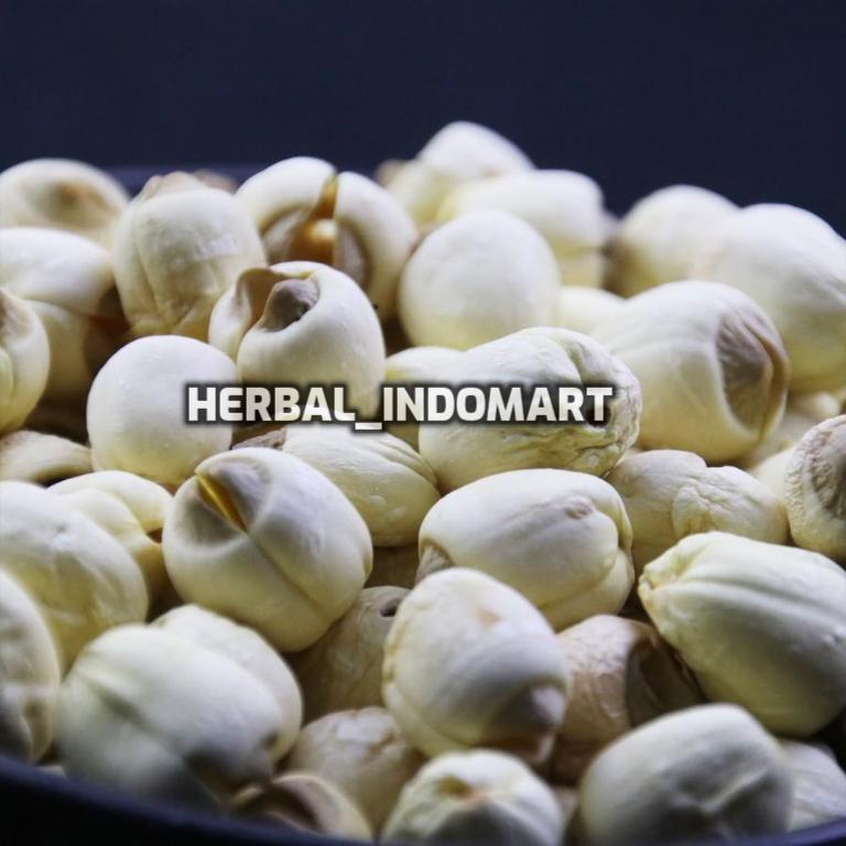 

Biji Teratai Kering Lotus Seeds 100Gram Baru - 100 gram