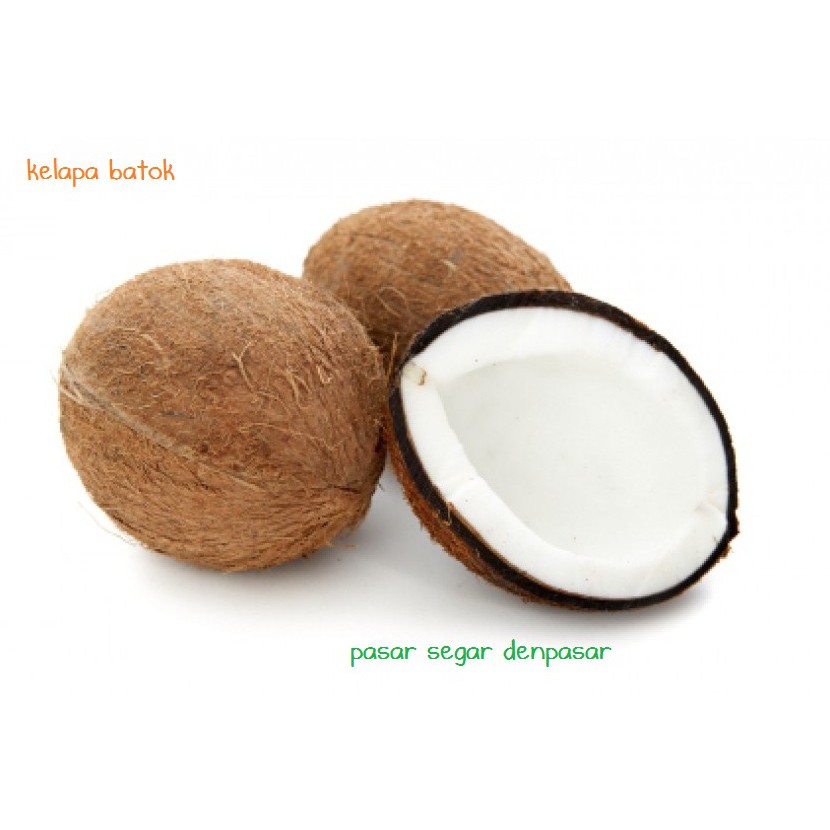 

KELAPA BATOK
