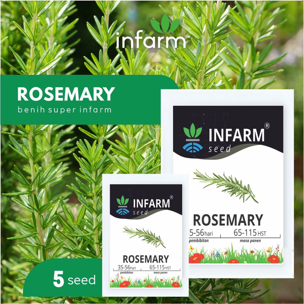 Jual Infarm Benih Bibit Biji Herbal Rosemary Shopee Indonesia