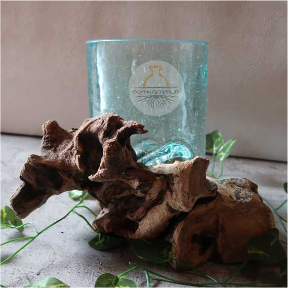 POT KACA LUCU UNIK BENTUK TABUNG GLASSWOOD potkacatiup