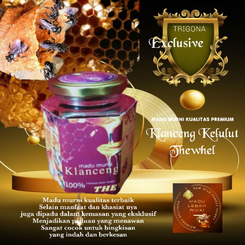 

MADU KLANCENG TRIGONA KELULUT THEWHEL 500g Exclusive Hexagonal