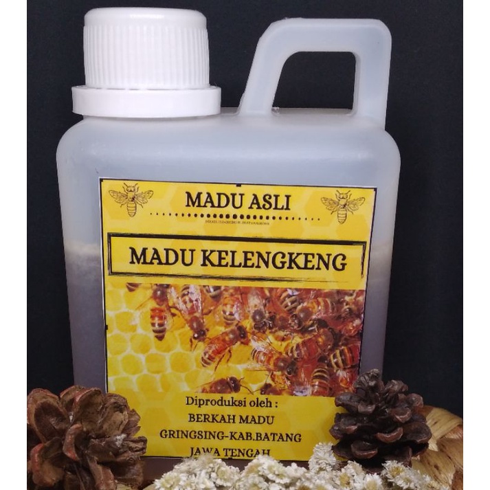 

MADU KELENGKENG