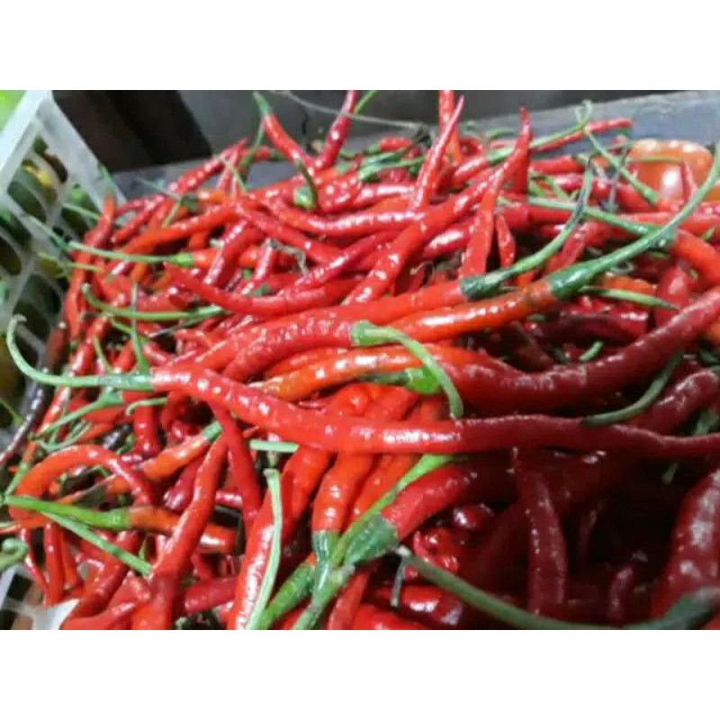 

Cebe / Cabai Merah Keriting 500 gr