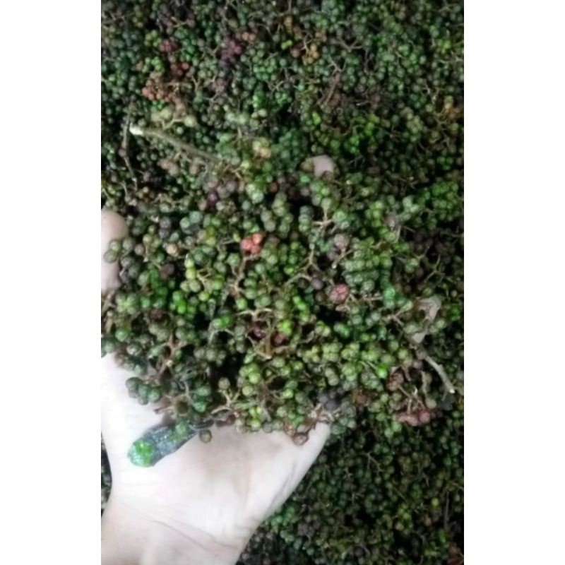 

Andaliman Khas batak harga 1 kg