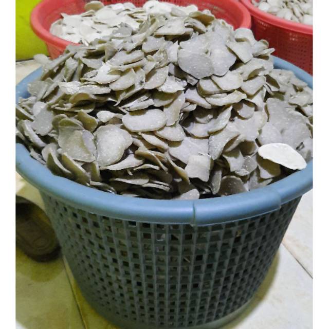 1000gr, KEMPLANG MENTAH IKAN KECIL/IWAK KECIK | Shopee Indonesia