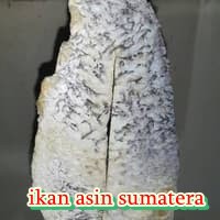 

MURAH...ikan asin kakap/kakap/ikan kakap/kakap asin/ikan asin kakap jumbo sangat lembut ...