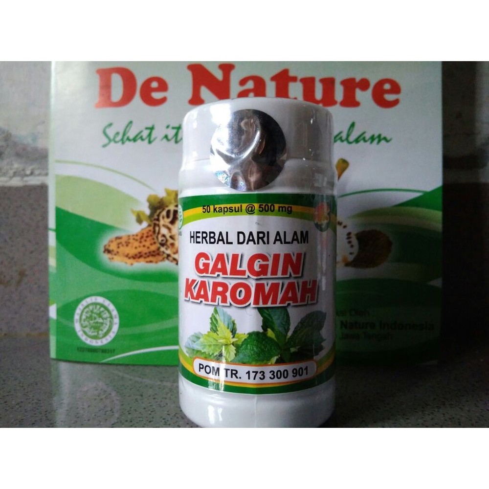 OBAT BATU GINJAL GAGAL GINJAL HERBAL ASLI De Nature 